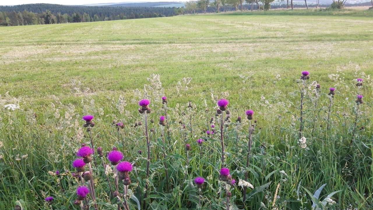 20210621_210502_resized 20210621_210502_resized